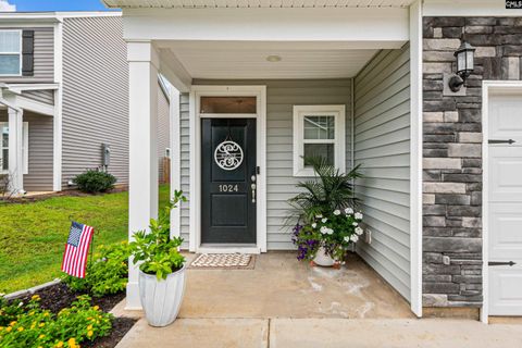 A home in Chapin