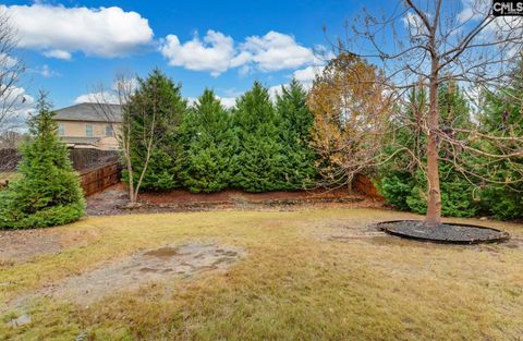 A home in Irmo