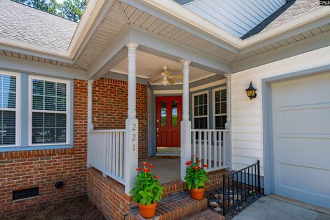 A home in Chapin