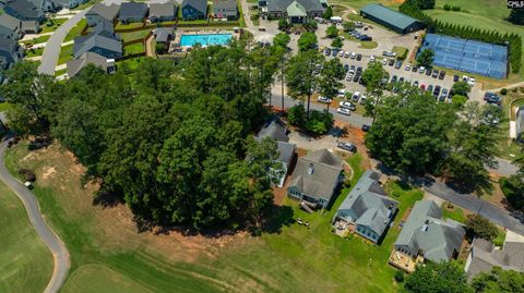 A home in Chapin