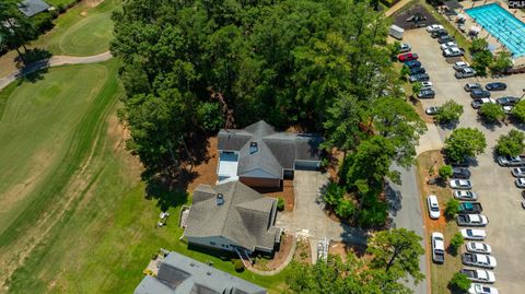 A home in Chapin