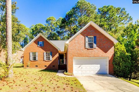 Photo of 4 Box Turtle Court, Columbia, SC 29229 (MLS # 620271)