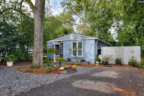 Photo of 223 SE Charleston Street, Aiken, SC 29801 (MLS # 619474)