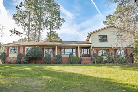 Photo of 412 Park Lake Circle, Columbia, SC 29223 (MLS # 626176)