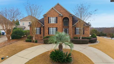 Photo of 225 WOOD MOOR Place, Columbia, SC 29212 (MLS # 624684)