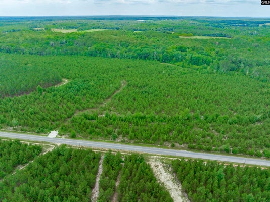 CATALINA BLVD, SWANSEA, SC 29160 - Image d27a098d613f5a82f505e9dfd161b4c4/1065834011