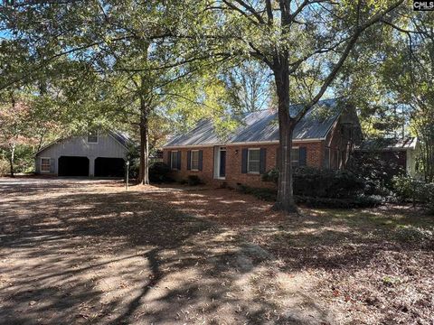 Photo of 123 Hollow Lane, Leesville, SC 29070 (MLS # 620758)