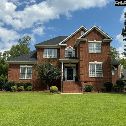 A home in Chapin