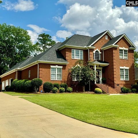 A home in Chapin