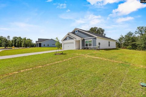 Photo of 313 Star Capital Way, Pelion, SC 29123 (MLS # 623701)