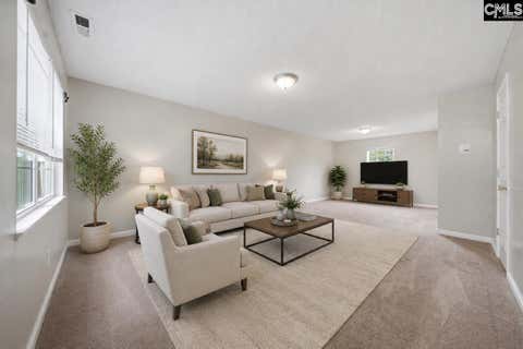 Photo of 305 Cutter Court, Chapin, SC 29036 (MLS # 638733)