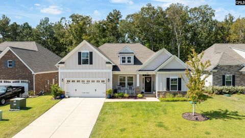 Photo of 249 Daymark Drive, Chapin, SC 29036 (MLS # 618519)