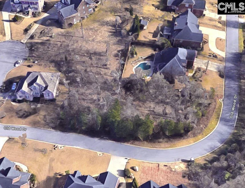 338 Old Wood Drive
