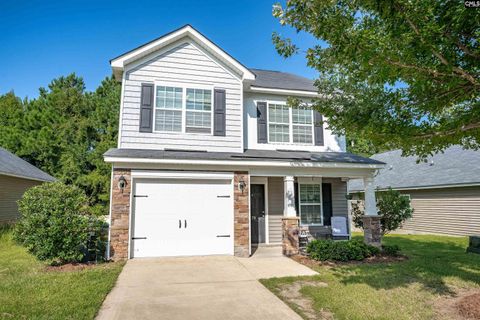 A home in Chapin