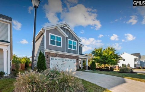 A home in Chapin