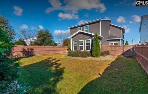 A home in Chapin