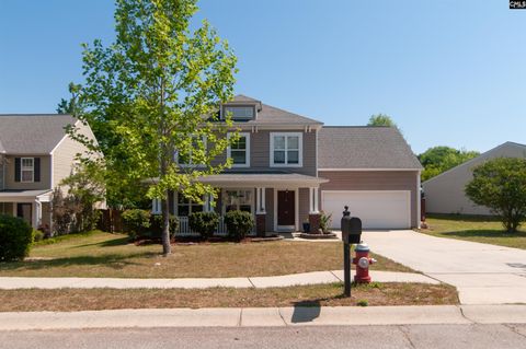 Photo of 341 foxport Drive, Chapin, SC 29036 (MLS # 631409)