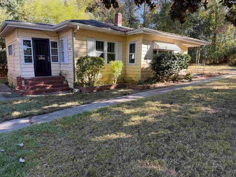 Photo of 422 Blossom Street, Batesburg, SC 29006 (MLS # 624715)