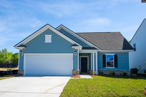 Photo of 173 Monroe Preserve Lane, Chapin, SC 29036 (MLS # 626564)