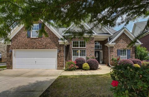 Photo of 769 Dutchmans Branch Court, Irmo, SC 29063 (MLS # 638326)