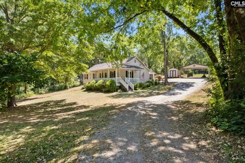 Photo of 514 Church Street, Peak, SC 29122 (MLS # 632586)