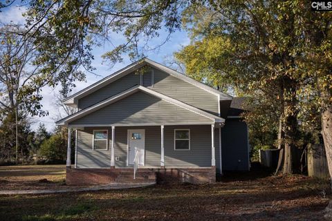 Photo of 357 Wilson Street, Batesburg, SC 29006 (MLS # 623672)