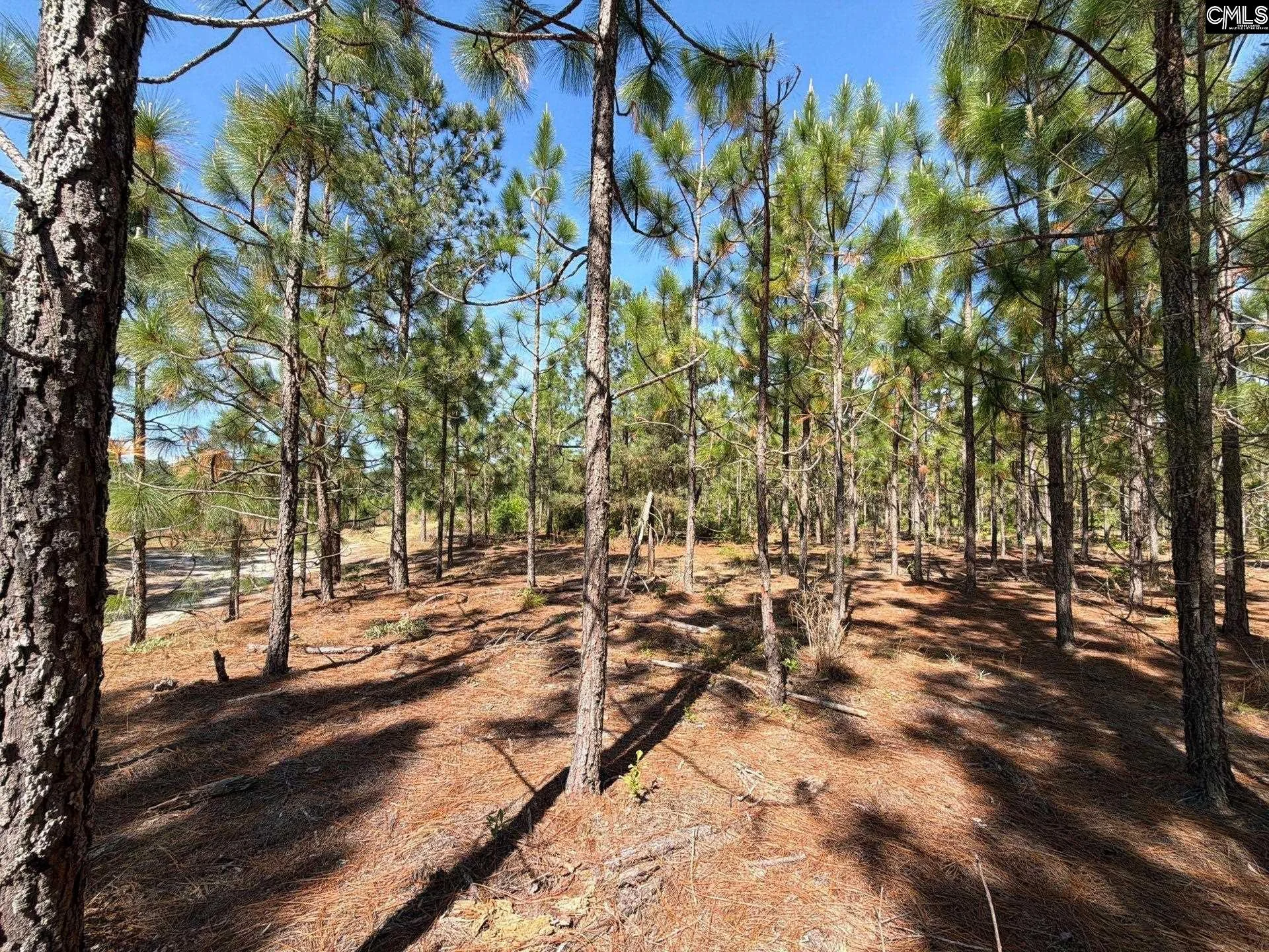 HRF 4 Holstein Road, Wagener, SC, 29164