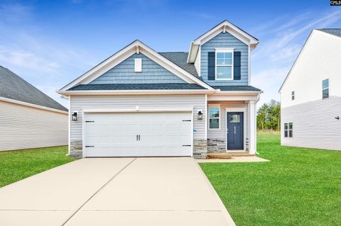 Single Family Residence in Lexington SC 270 Brass Billion Path Path.jpg