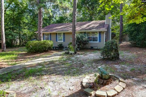 Photo of 133 Sunset Strip, Elgin, SC 29045 (MLS # 638936)