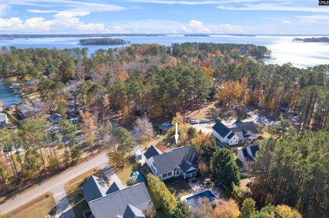 A home in Chapin