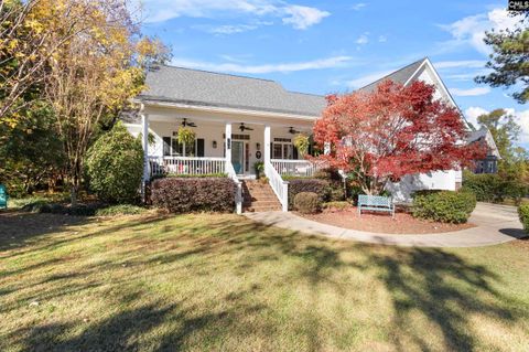 A home in Chapin