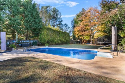 A home in Chapin