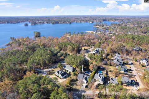 A home in Chapin