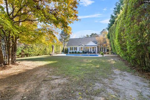 A home in Chapin