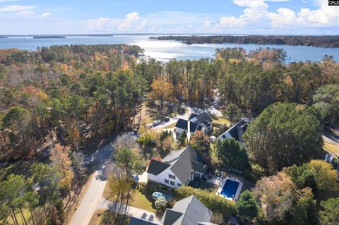 A home in Chapin