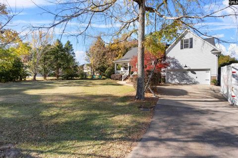 A home in Chapin