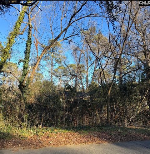 Photo of 1522 Jerome Drive, Columbia, SC 29203 (MLS # 632201)