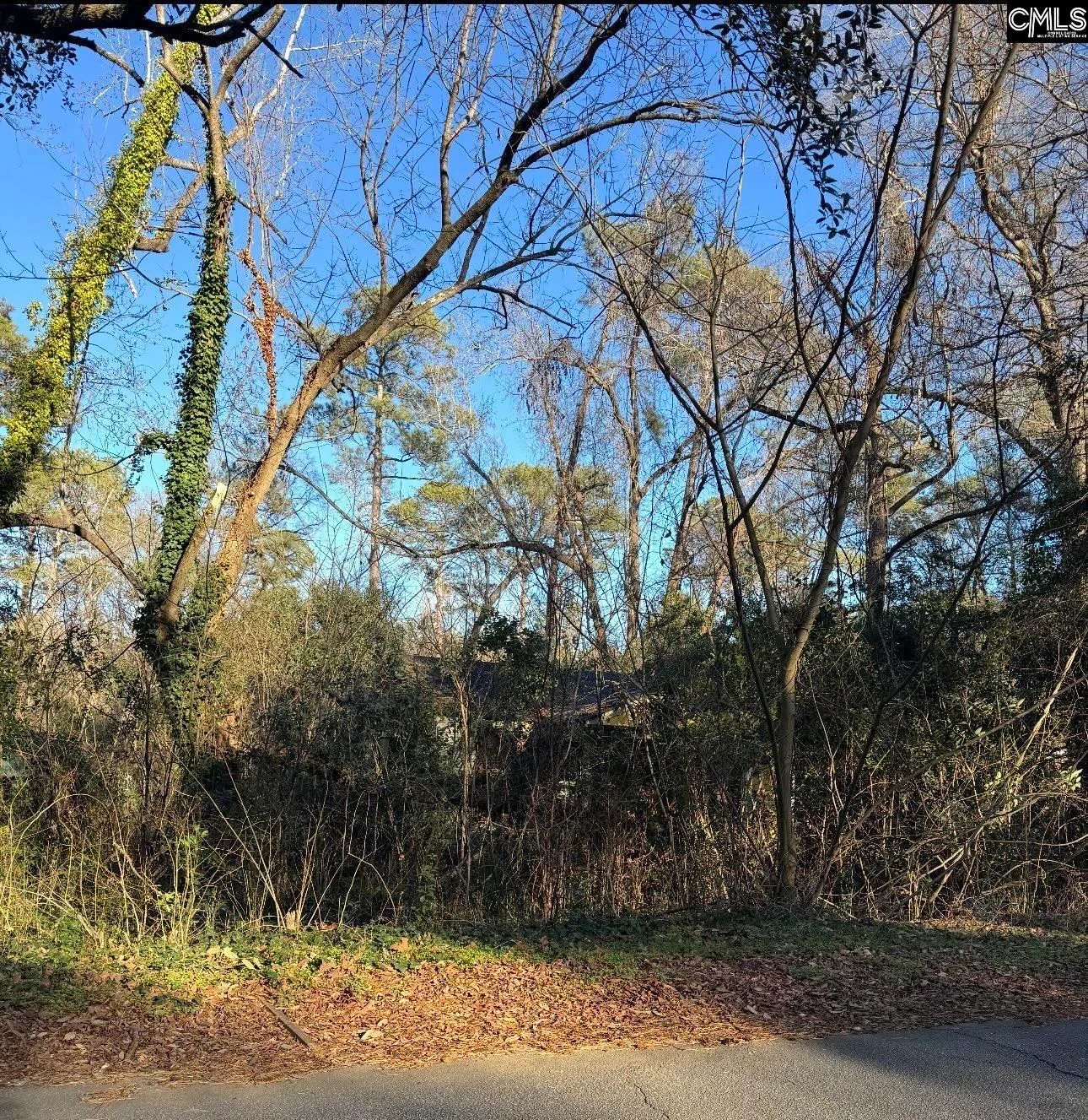 1522 Jerome Drive