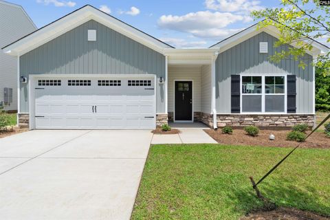 Photo of 262 Boseman Road, Irmo, SC 29063 (MLS # 626946)