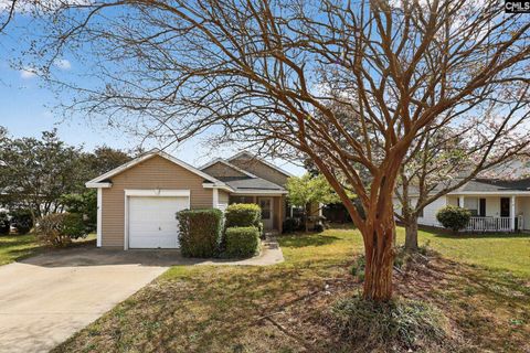 Photo of 10 Crimson Court, Columbia, SC 29229 (MLS # 634443)
