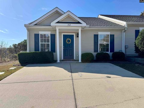 Photo of 102 Elders Pond Circle, Columbia, SC 29229 (MLS # 625664)