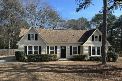 Photo of 812 N Royal Tower Drive, Irmo, SC 29063 (MLS # 626869)