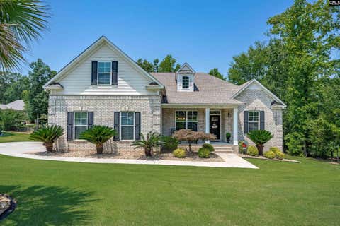 Photo of 238 Hilton View Court, Chapin, SC 29036 (MLS # 638477)