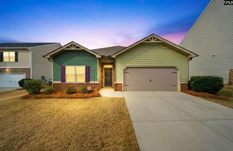 Photo of 212 Village View Way, Lexington, SC 29072 (MLS # 626027)