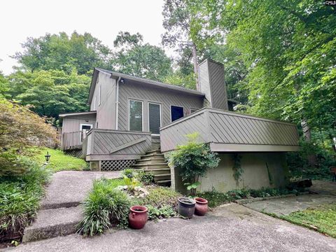 Photo of 1800 Briarcreek Court, Columbia, SC 29212 (MLS # 638796)