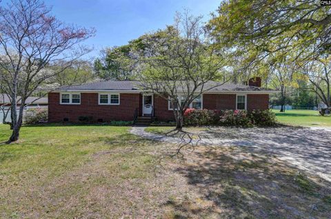 Photo of 534 Edisto Drive, Batesburg, SC 29006 (MLS # 630487)