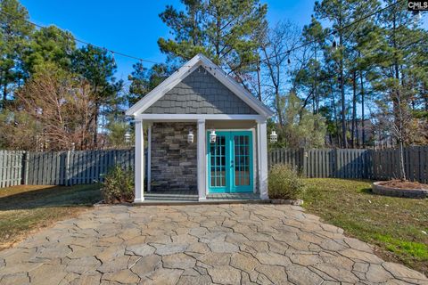 A home in Chapin