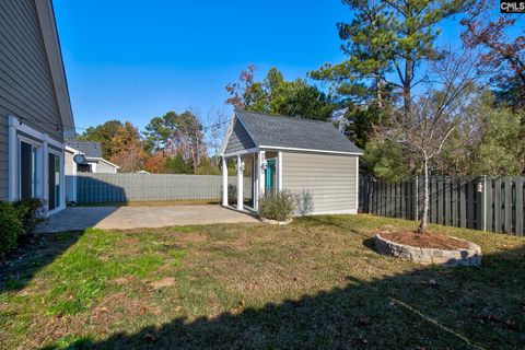 A home in Chapin