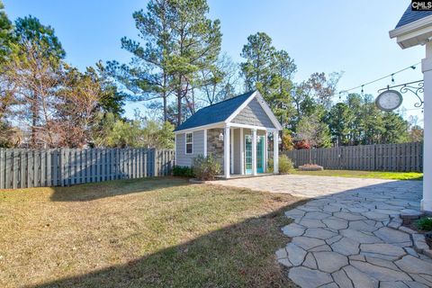 A home in Chapin