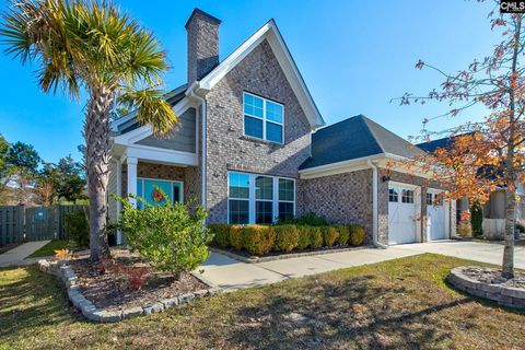 A home in Chapin